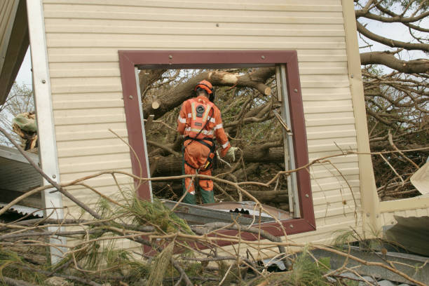 Best Tree Risk Assessment  in Bradley, WV